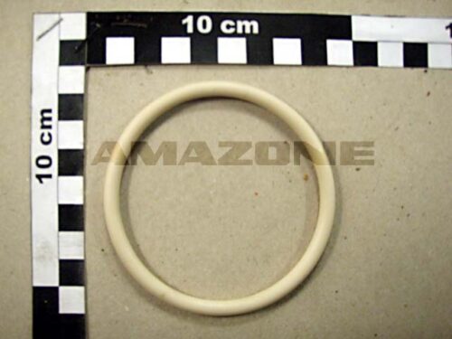 ORING 76,00X5,50   VI-4-21